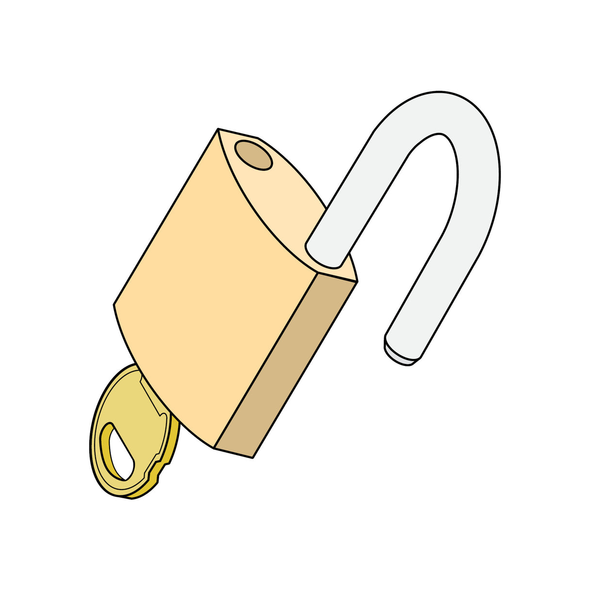 Doorking 2600-767 Padlock for Swing Gates Openers | Elitegates.net