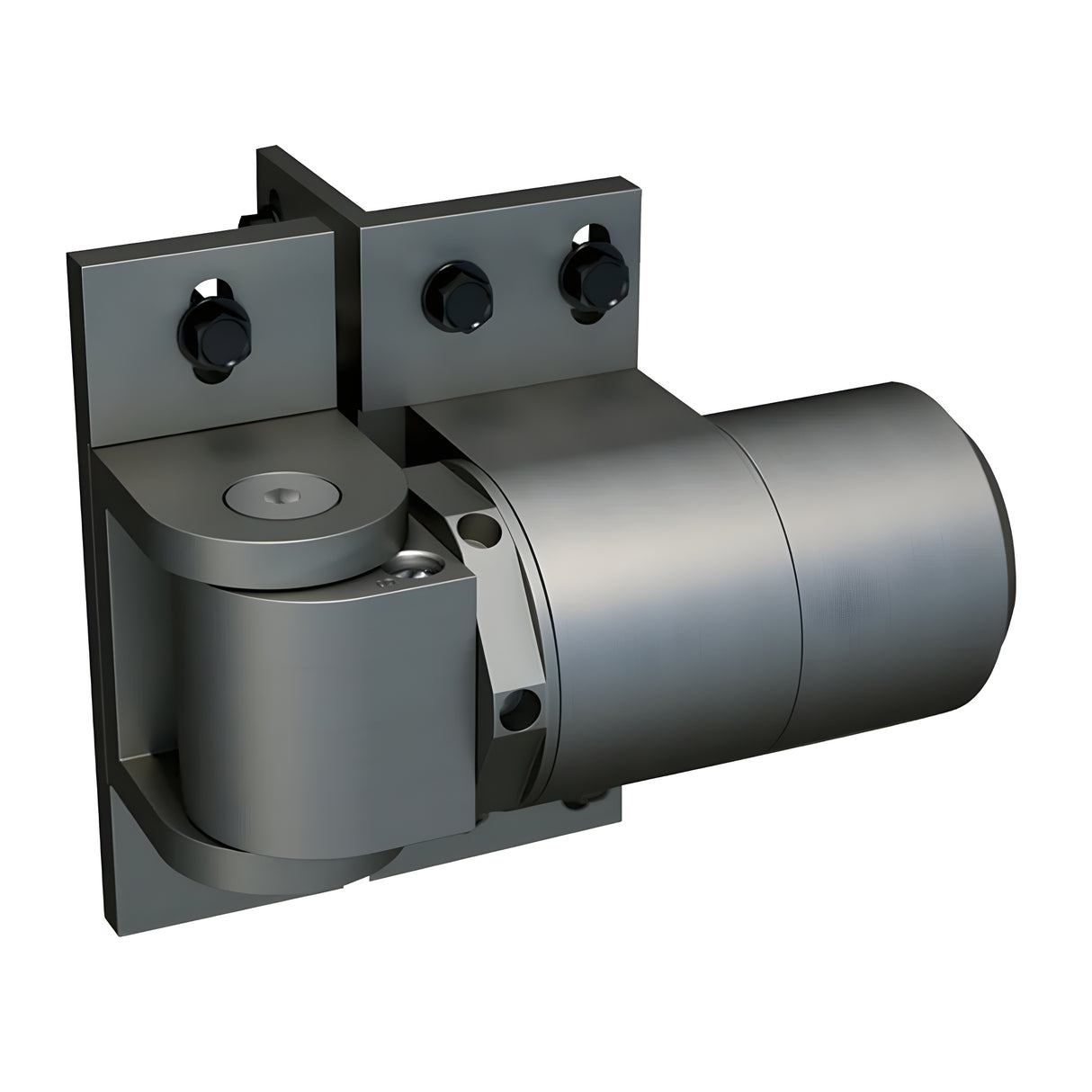 D&D 74108323T SURECLOSE® READYFIT 108 Gate Hinge