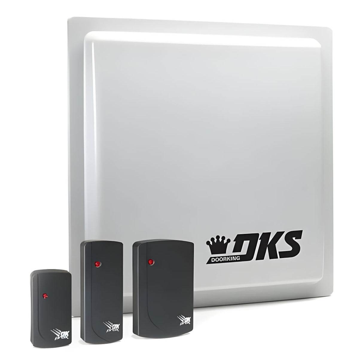 Doorking 1815-350 Long Range RFID Reader
