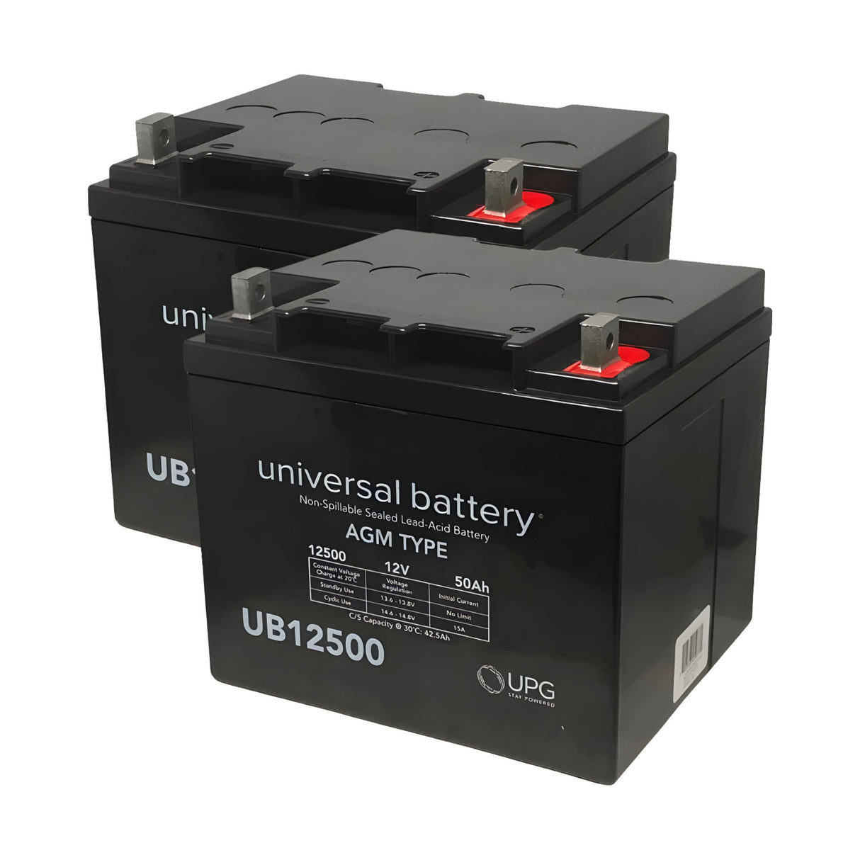 HySecurity MX002013 Replacement Backup Battery Kit | Elitegates.net