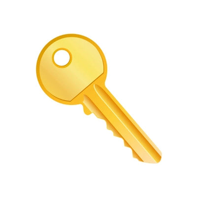 Allomatic T24-KEY217 Replacement Key