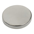 Doorking 2600-374 Magnet Nickel Plated