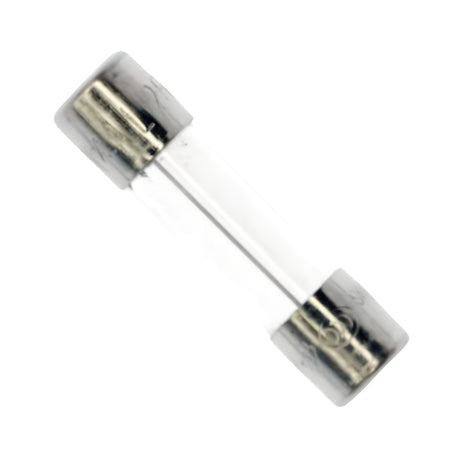 Viking VNXF4A Fuse 4 Amp for Gate Operators | Elitegates.net