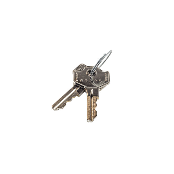 LiftMaster 41ASWG-0119 Manual Override Key (pair shown)